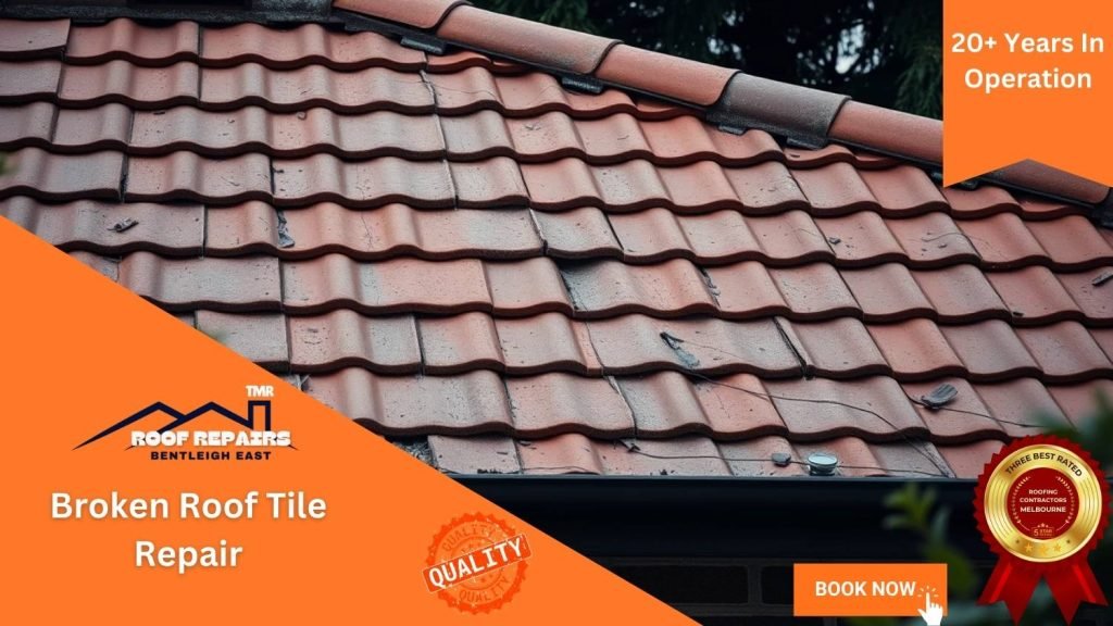 Broken Roof Tile Repair Bentleigh East