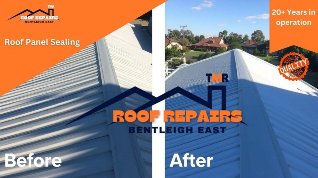 Roof Panel Sealing In Bentleigh East